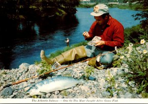 Canada Nova Scotia Salmon Fishing on The St Mary's River