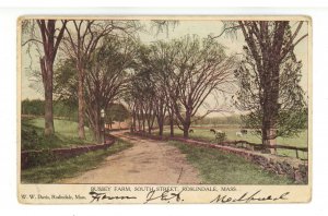 MA - Roslindale. Bussey Farm, South Stree circa 1906  (crease)