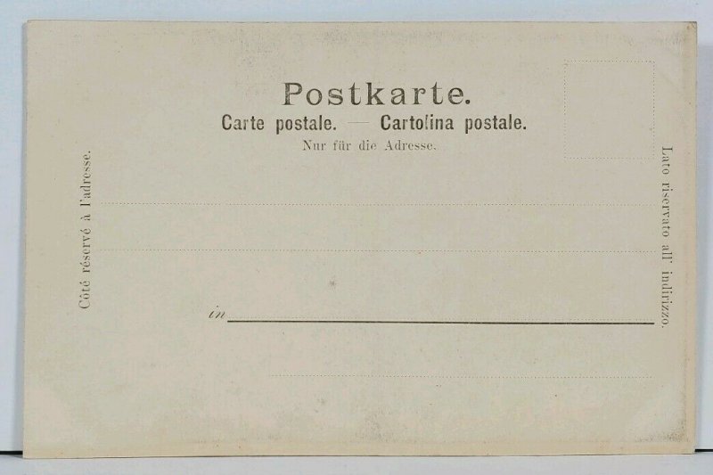 Suisse Gruss aus Grindelwald c1899 Postcard G13