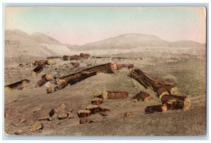 1940 Scenic View Petrified Forest Adamana Arizona Unposted Hand-Colored Postcard