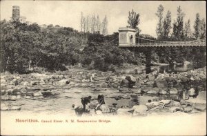 Mauritius Africa Grand River NW Suspension Bridge c1910 Vintage Postcard