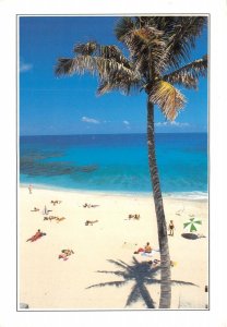 US39 postcard couleurs de la Reunion beach scene palm