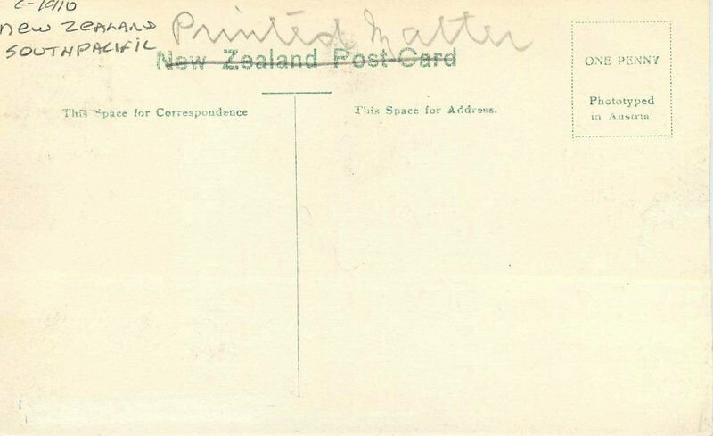 New Zealand South Pacific C-1910 Sanitarium Mt Ngomgataha Postcard 21-13926