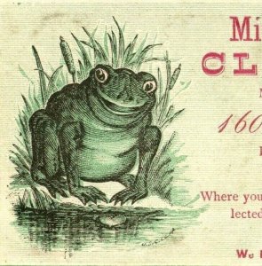 1870's Mitchell & Bro. Clothing Happy Cute Frog Pond Cattails P165