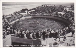 Florida Marineland Feeding Time Marine Studios Real Photo