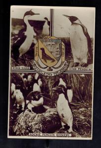 Mint Falkland Islands RPPC Real Picture Postcard Penguins