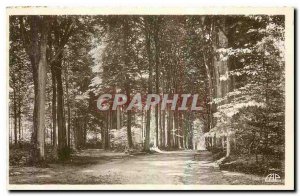 Old Postcard Flers undergrowth in the Park