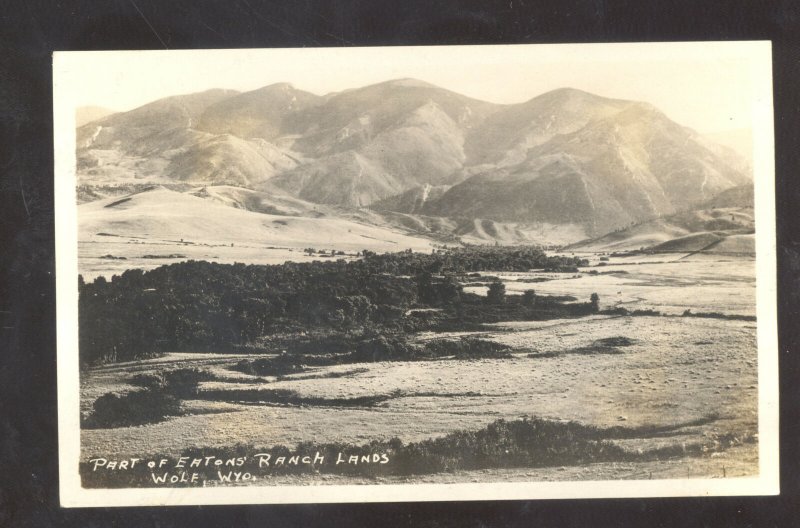 RPPC WOLF WYOMING EATON'S RANCH LANDS VINTAGE REAL PHOTO POSTCARD