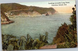 Postcard CA Santa Catalina Island - Looking Towards Long Point