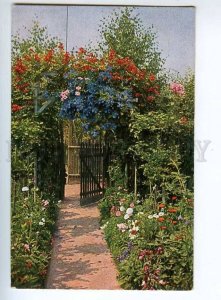 240660 Garden FLOWERS Gate Vintage TSN #1436 postcard