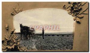 Old Postcard Folklore Horse Plowing