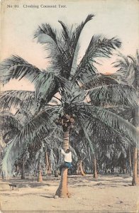 Climbing Coconut Tree Jamaica Unused 