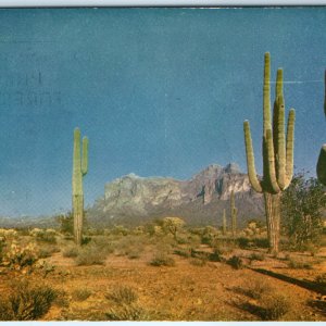 c1950s Phoenix, AZ Superstition Mountain Saguaro cactus US Hwy 60 Chrome PC A318