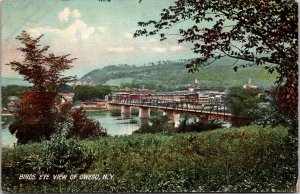 View Overlooking Bridge and Owego NY Vintage Postcard T77