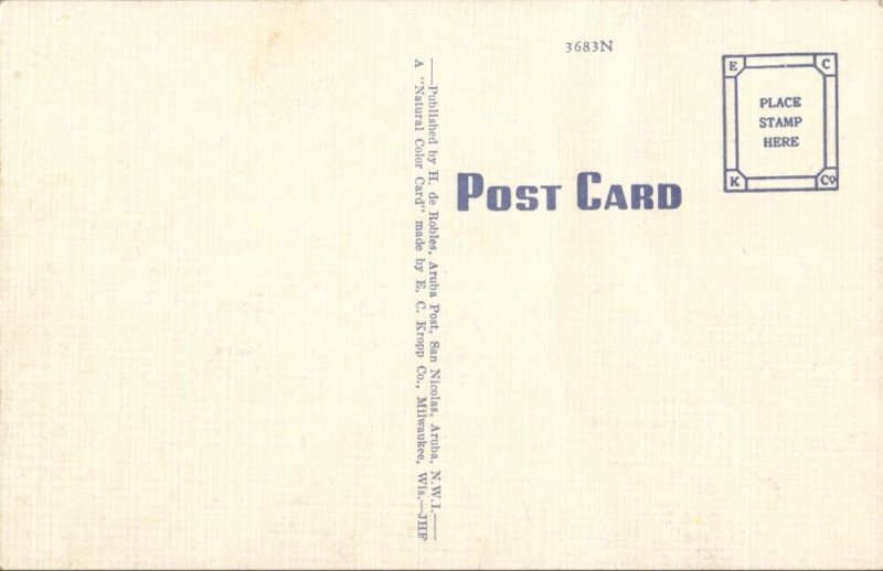 aruba, N.W.I., Cliff View (1940s) Postcard