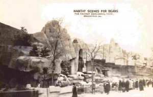 Bear Habitat Brookfield Zoo Chicago Illinois 1950s RPPC Real Photo postcard