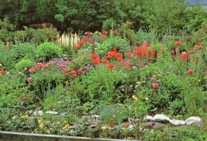 Thornley Village Flowers Garden County Durham Postcard