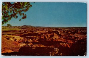 Arizona AZ Postcard Painted Desert Scenic Treats Afforded Traveler c1950 Vintage