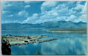 Bishop Mono California 1960s Postcard Crowley Lake