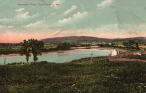 Vintage Postcard 1907 Aroostook River Fort Fairfield Maine ME