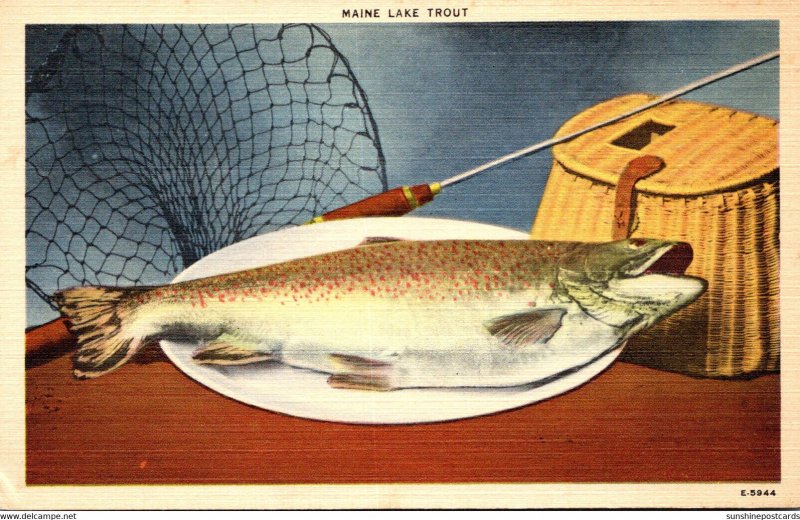 Fishing Maine Lake Trout