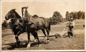 VELOX Real Photo Postcard RPPC Farmer Plowing with 2 Horse-Drawn Plow ~1910 M39