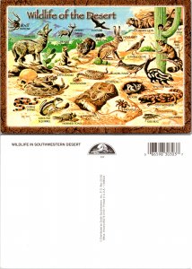 Wildlife of the Desert (11761)