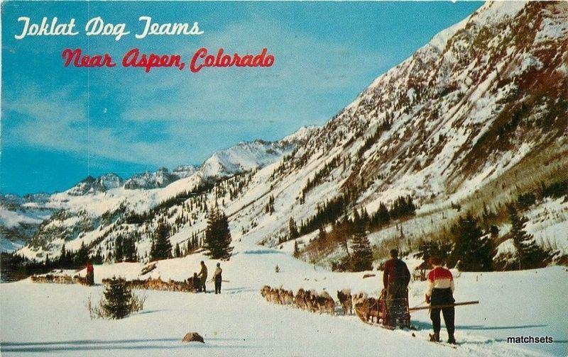 1968 Snow Country Toklat Dog Aspen Colorado Crocker postcard 2255