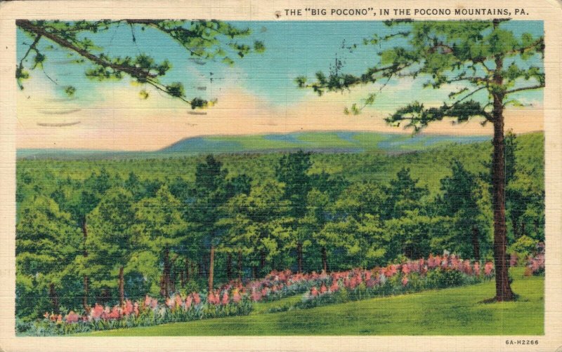 USA The Big Pocono In The Pocono Mountains Linen Postcard 07.55