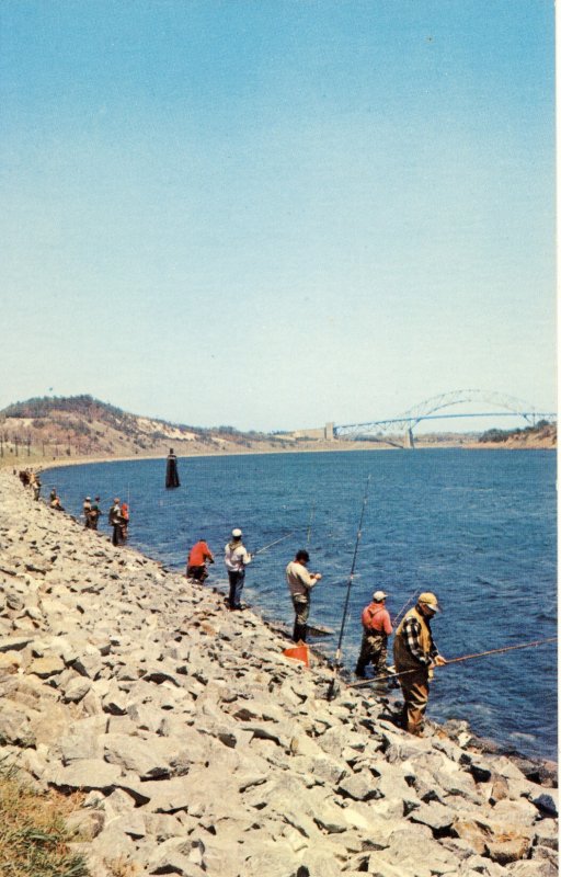 Cape Cod, Massachusetts/Mass/MA Postcard, Fishing For Striped Bass Along Canal