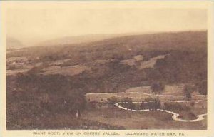 Pennsylvania Delaware Water Gap Giant Boot View On Cherry Valley Albertype