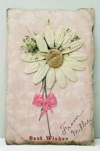 Pretty Applied Daisy & Ribbon Pink Diecut 1907 Chicago Dubuque Iowa Postcard J8