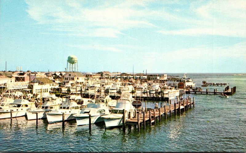 Maryland Ocean City Fishing Fleet