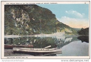 The Indian Profile On The Rugged Sides Of Mount Tammany Delaware Water Gap Pe...