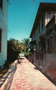 Vintage Postcard Treasure St. Narrowest Street in the US St. Augustine Florida