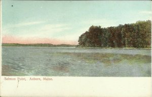 Auburn, Maine, Salmon Point