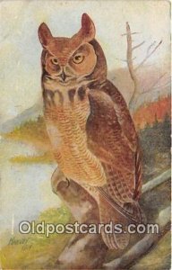 Harvey Great Horned Owl Unused 