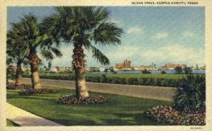 Ocean Drive - Corpus Christi, Texas