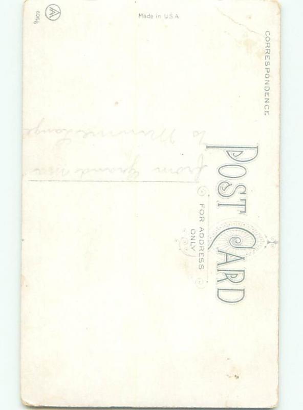 Divided-Back BEAUTIFUL FLOWERS SCENE Great Postcard AA2997