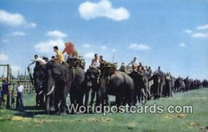 Elephant Round-up Surin Thailand Unused 