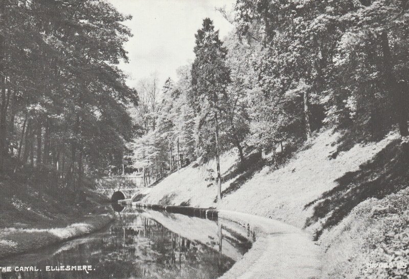 ELLESMERE, THE CANAL, Shropshire - Vintage POSTCARD