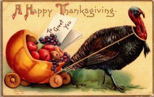 Clapsaddle Thanksgiving Postcard Turkey Pulling Pumpkin Cart Filled with Fruit