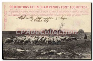 Postcard Old 99 Sheep And A Champagne Font 100 beasts