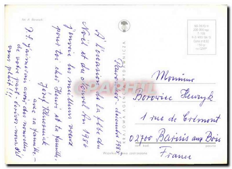 Modern Postcard For a Nowick