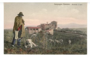 Italy - Compagna Romana. Shepherd and Dog