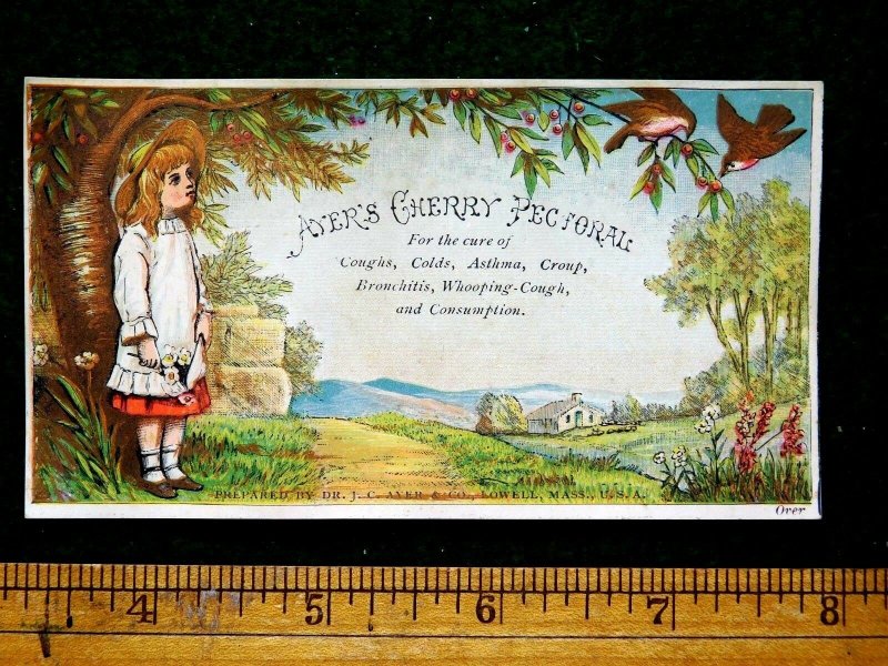 1870s-80s Girl Under Cherry Tree Birds Ayer's Cherry Pectoral Trade Card F22