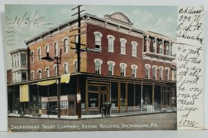 Shenandoah Pa Trust Company Beddal Building 1907 to Pavia Allentown Postcard N10