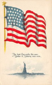 American Flag 1919 