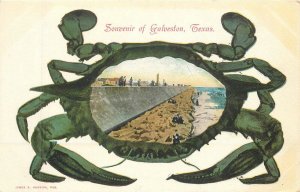 Postcard Texas Galveston Crab Frame beach scene undivided 23-1895