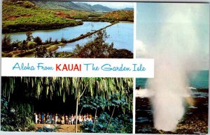 Postcard NATURE SCENE Kauai Hawaii HI AK0472